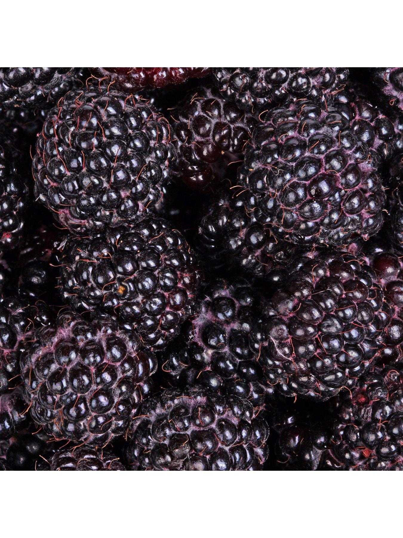 Image 3 of 4 of You Garden Raspberry 'Black Jewel' 2L pot