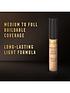  image of max-factor-facefinity-all-day-flawless-vegan-lightweight-liquid-concealer