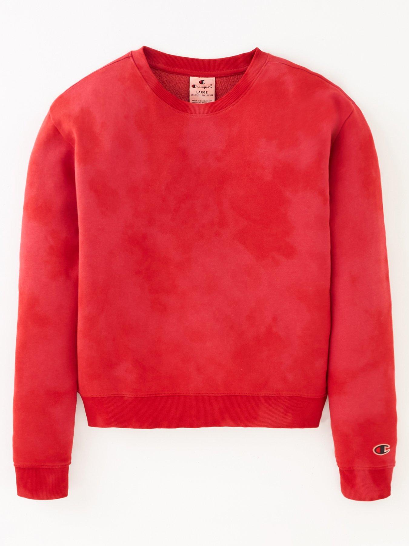 Champion crewneck hot sale sweatshirt pink