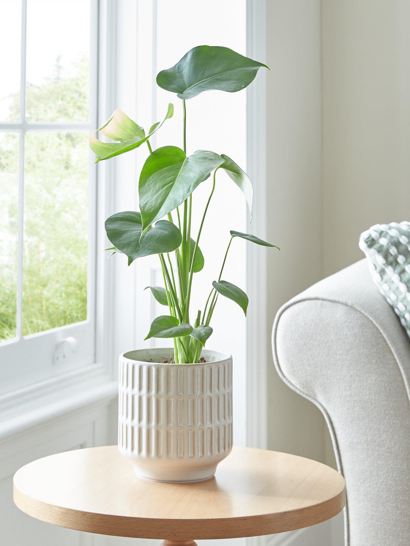 undefined Natural Debossed Planter
