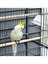  image of pawhut-large-bird-cage-budgie-cage-for-finch-canaries-parakeet-with-rolling-stand-slide-out-tray-storage-shelf-food-containers-dark-grey