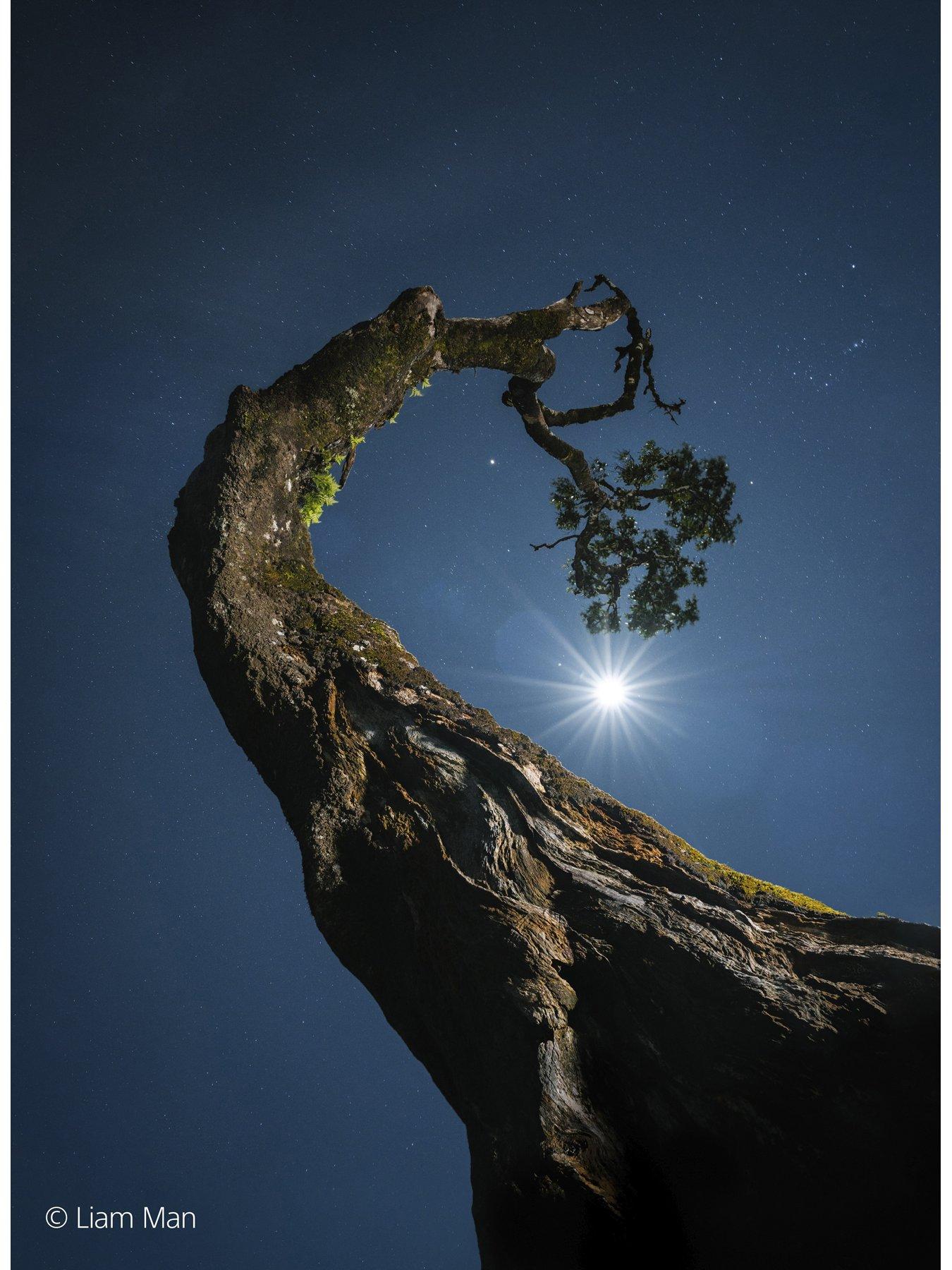  image of sony-fe-20-70-mm-f4-g-g-full-frame-standard-zoom-lens-sel2070gsyx