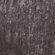 CHARCOAL