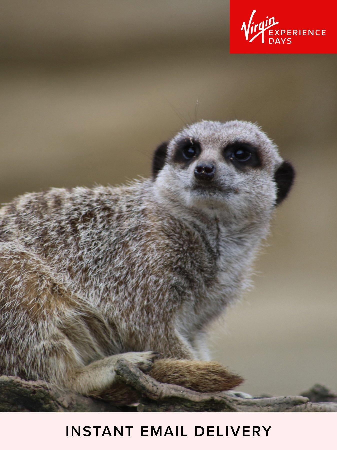 front image of virgin-experience-days-digital-voucher-meet-and-feed-the-meerkats-for-two-at-millets-falconry-centre