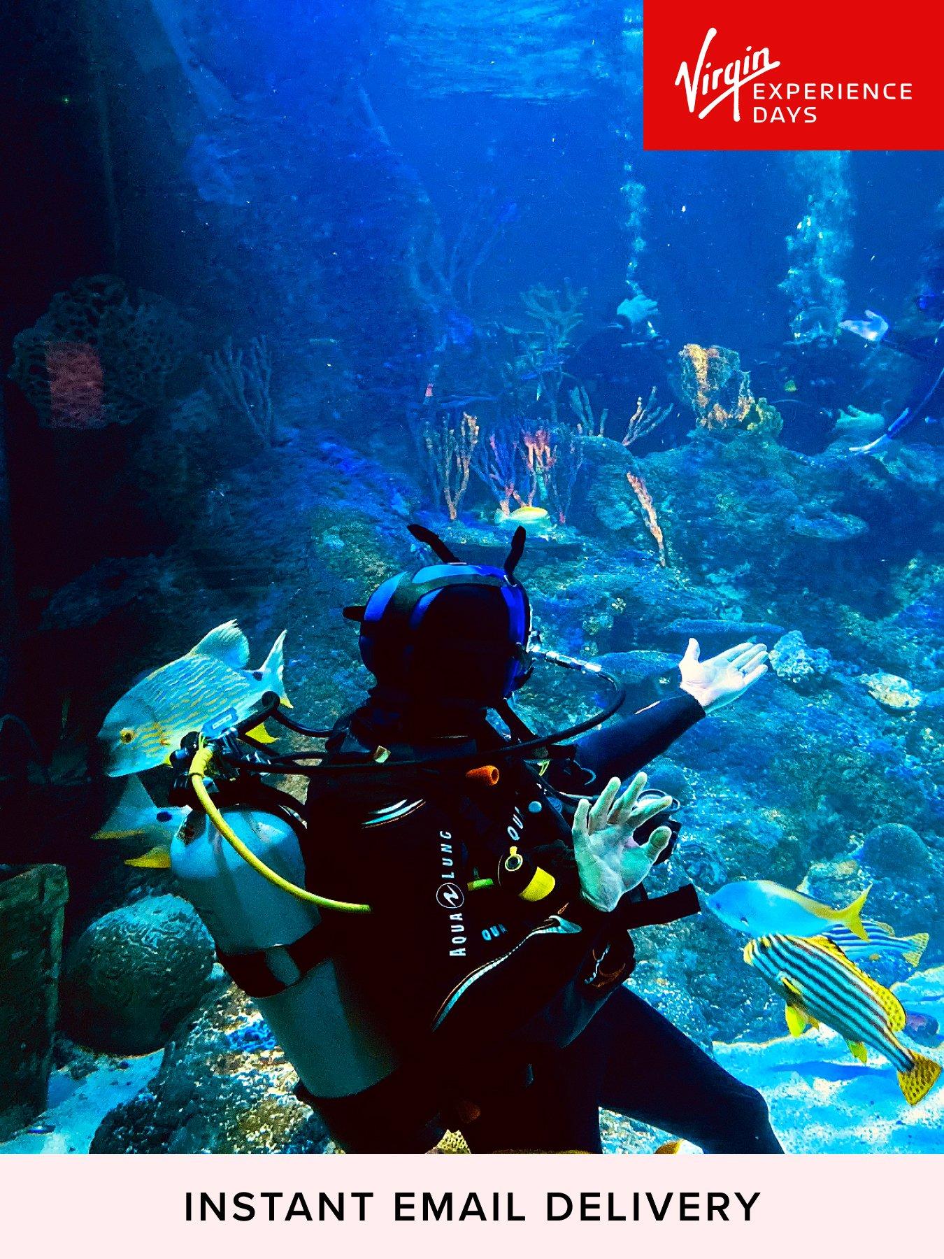 Image 1 of 1 of Virgin Experience Days Dive With Sharks At Skegness Aquarium