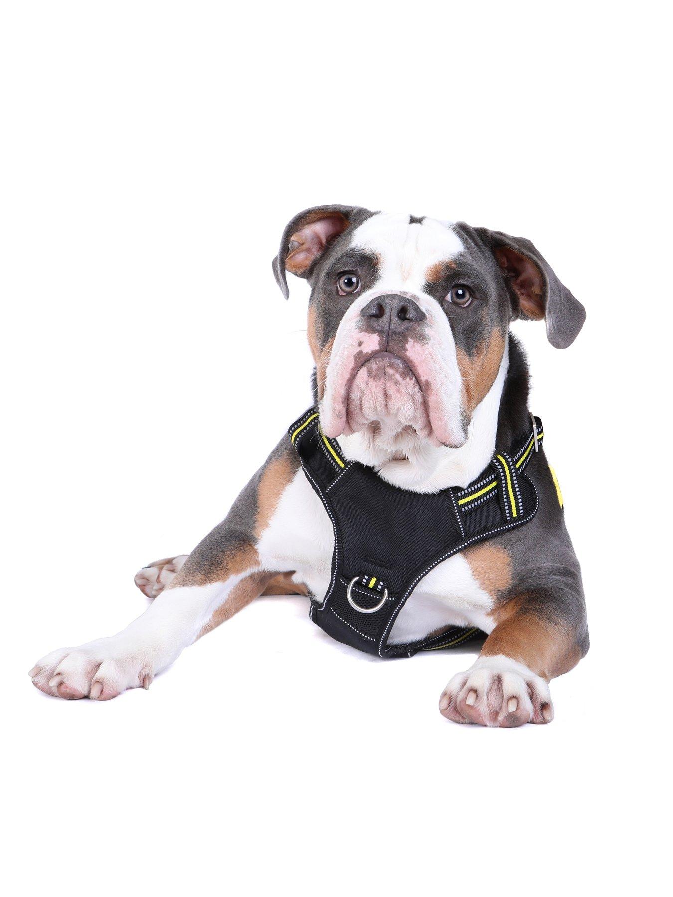 undefined Neotech Harness - Bolt