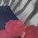ONE_COLOUR