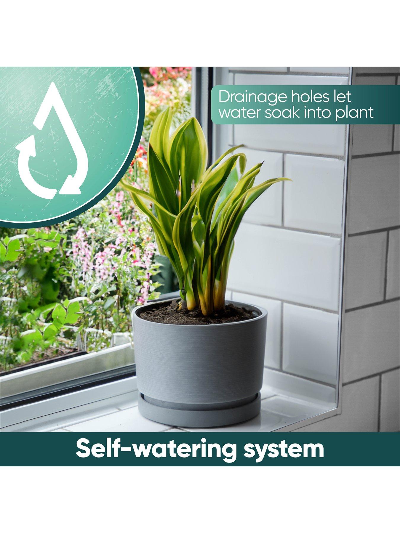 Image 2 of 7 of Streetwize Micro-Gro - Indoor Microbiological Fertilizer Including 1x&nbsp;Self Watering Plant Pot