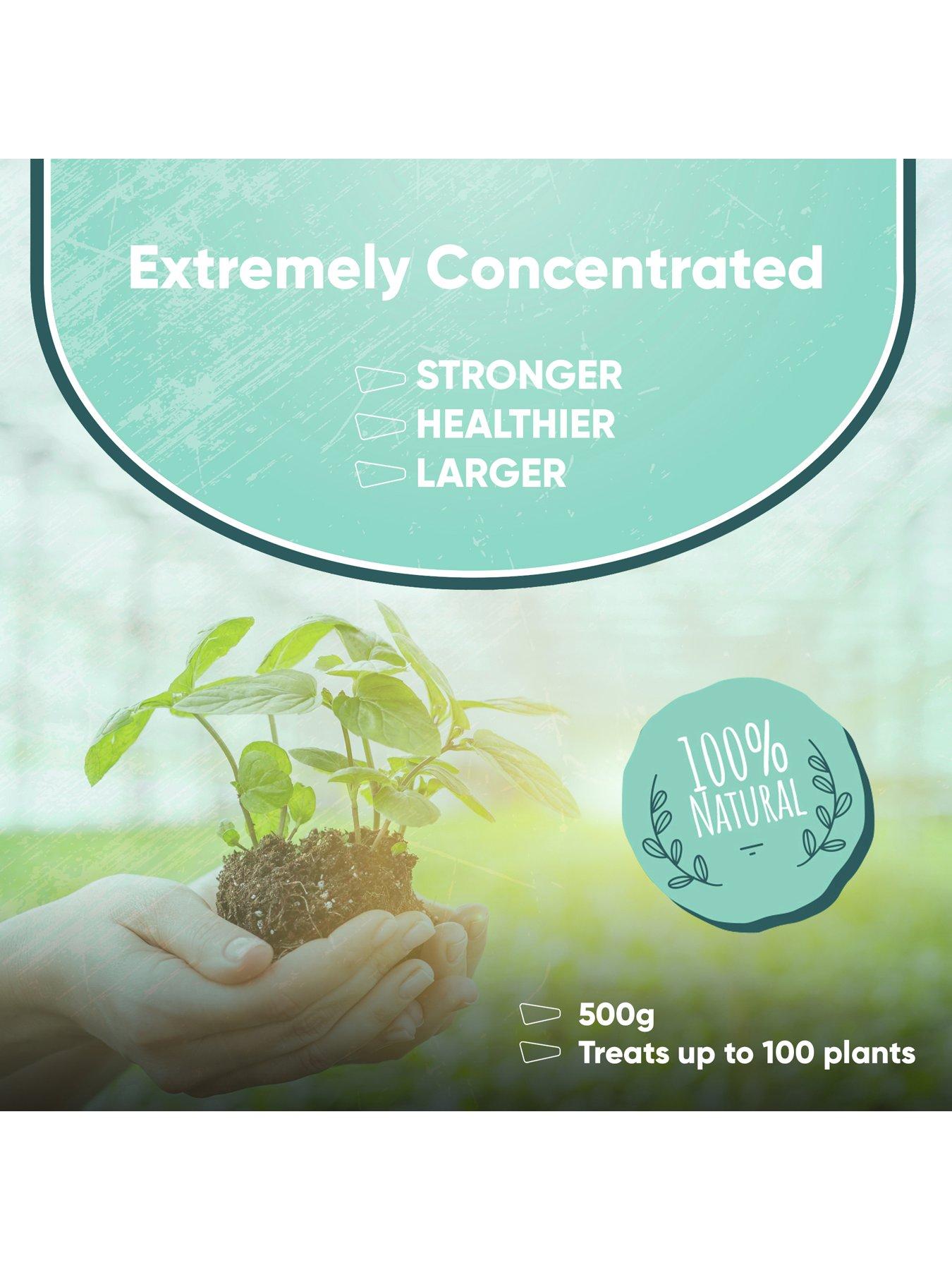 Image 7 of 7 of Streetwize Micro-Gro - Indoor Microbiological Fertilizer Including 1x&nbsp;Self Watering Plant Pot