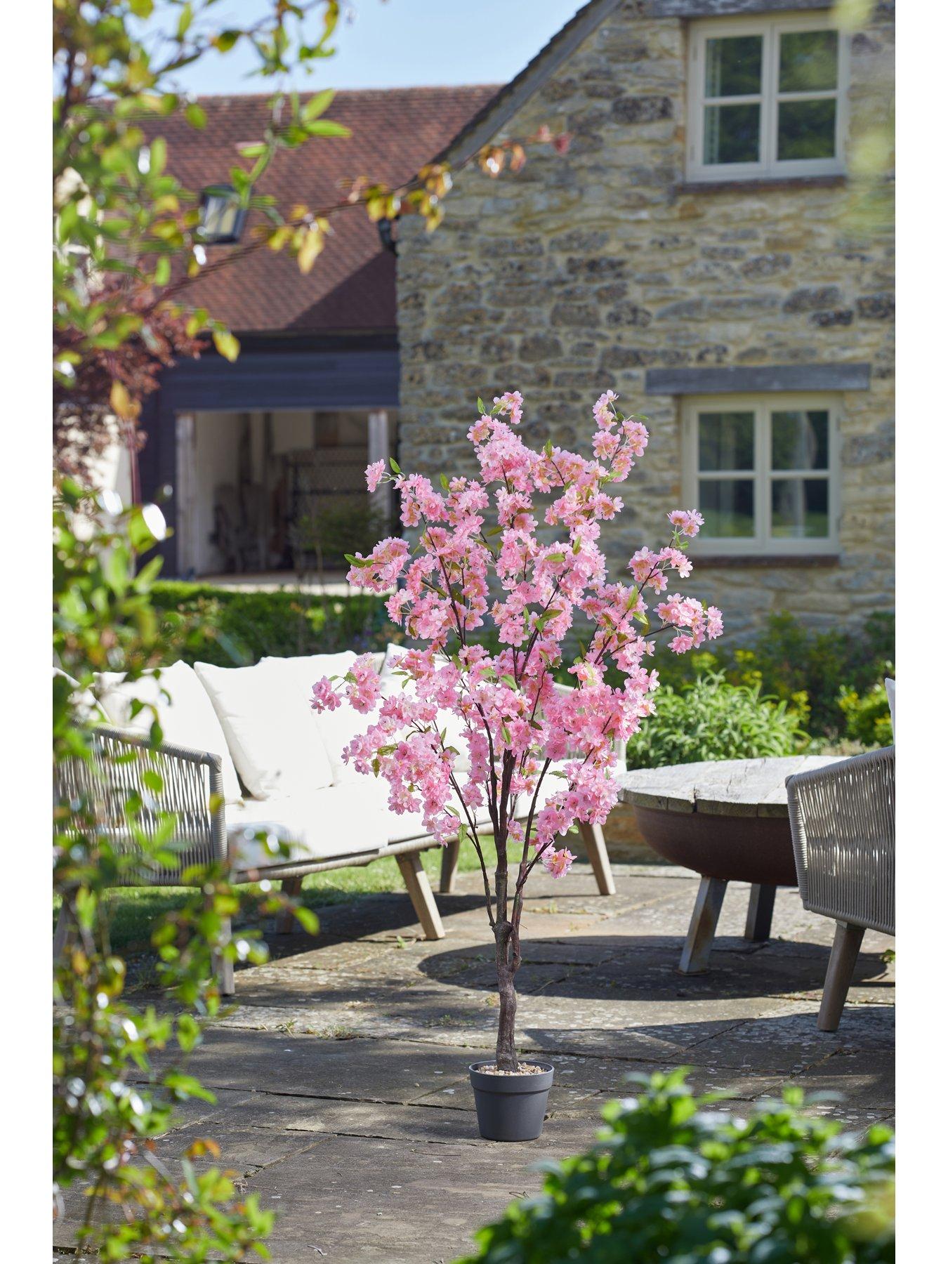 undefined Pink Cherry Tree