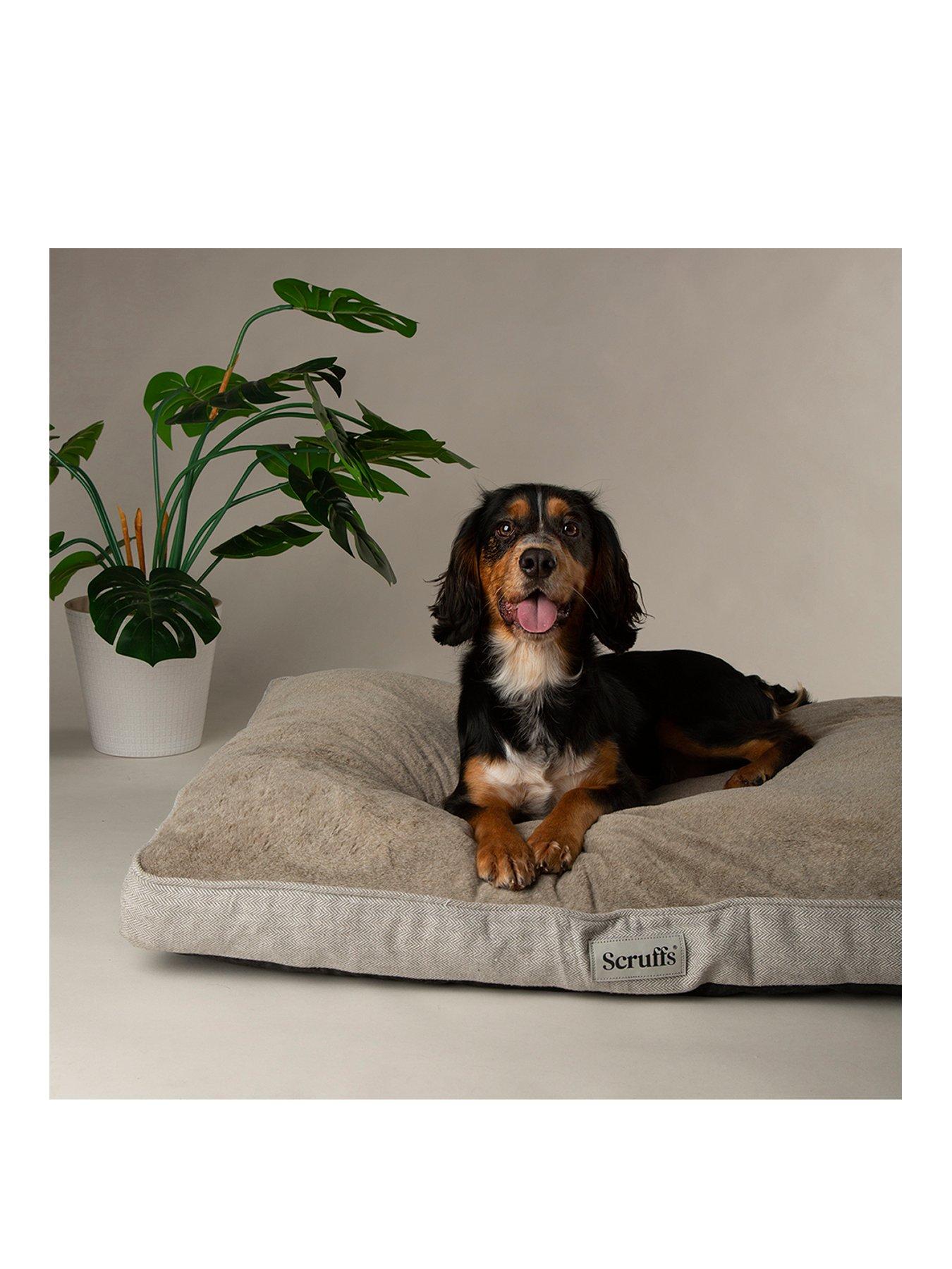undefined Harvard Memory Foam Orthopaedic Mattress (Large)