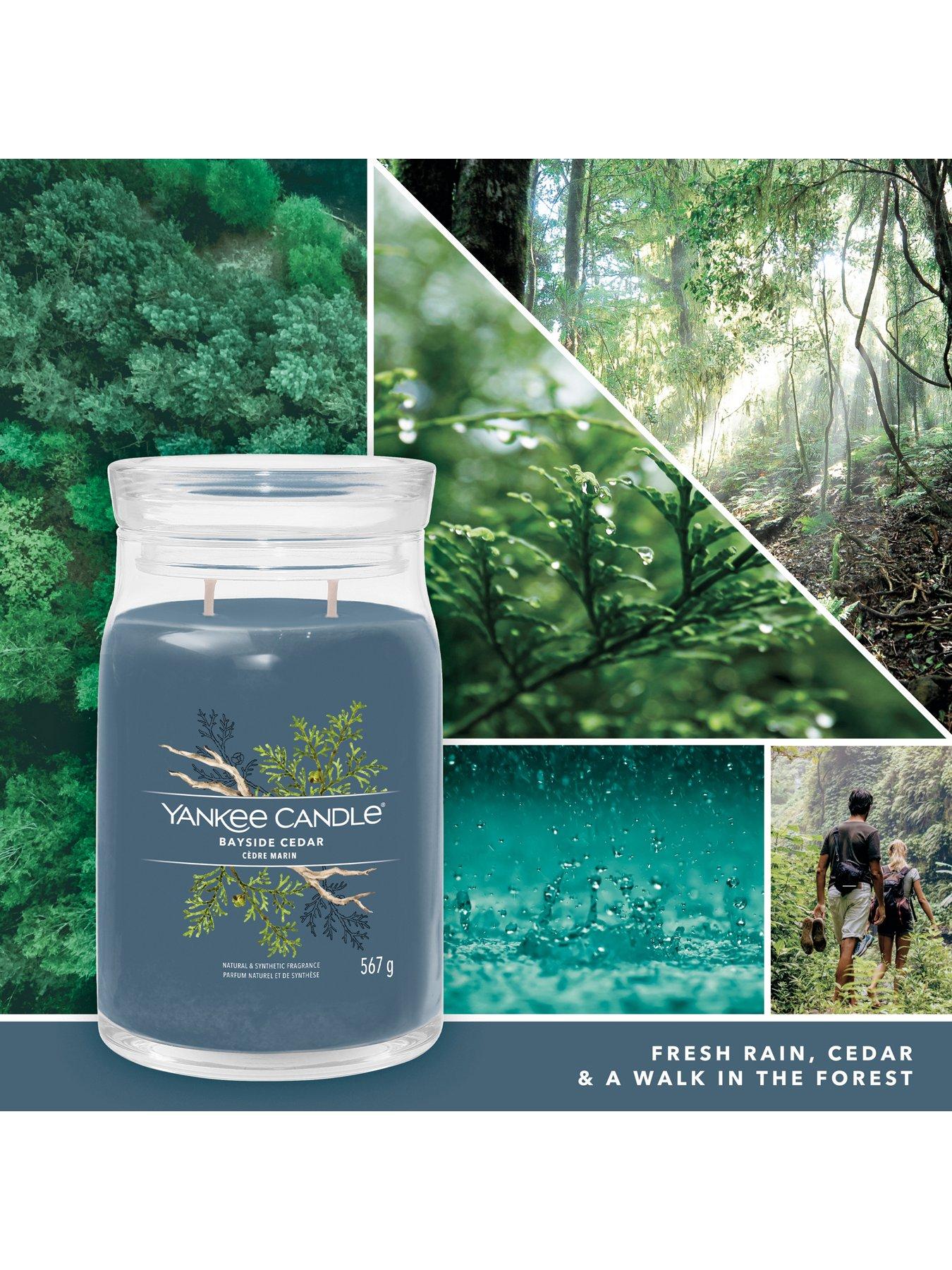 Yankee Candle Signature Large Jar Candle – Ocean Air