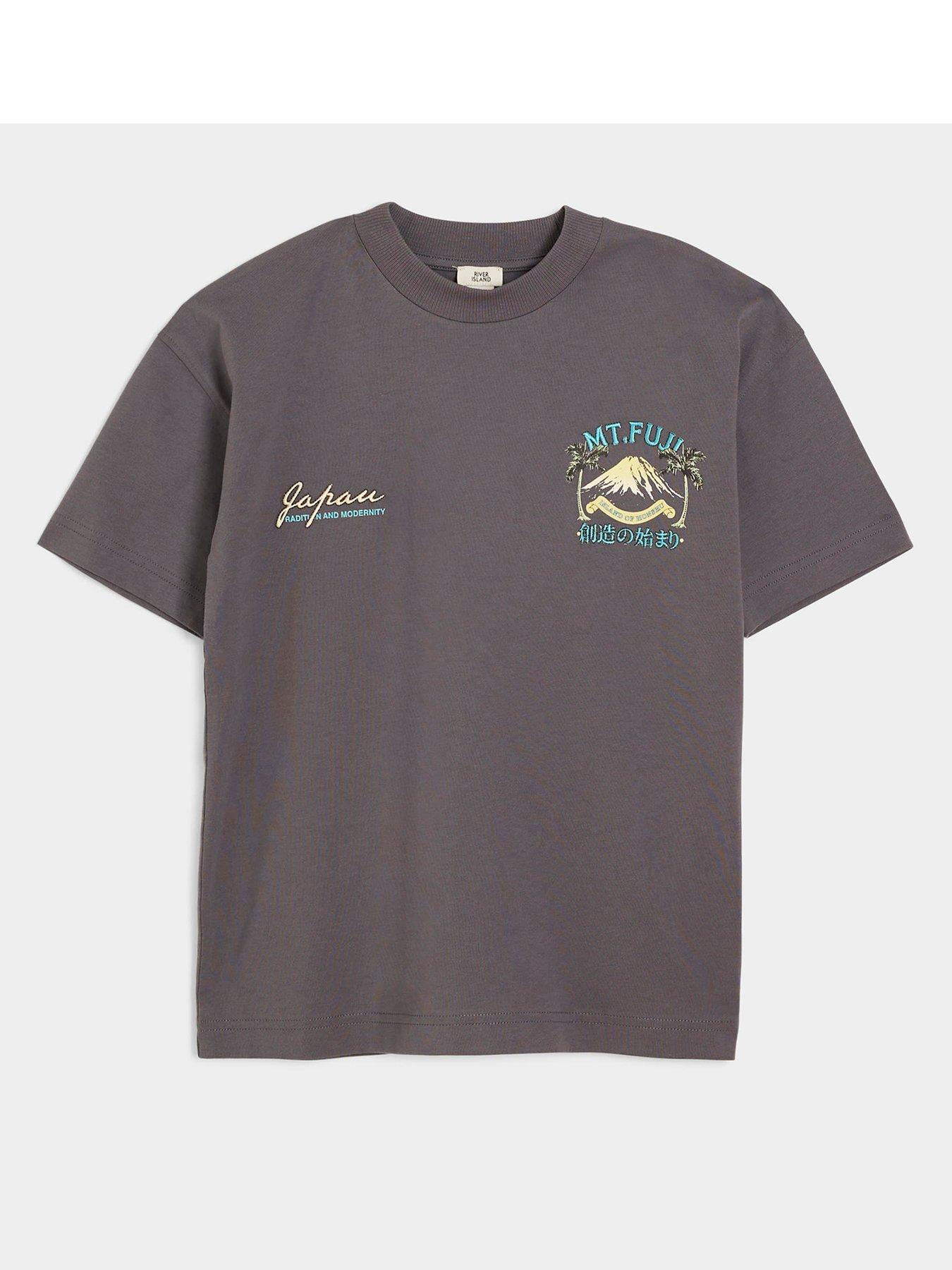 undefined Boys Graphic Print T-Shirt - Grey