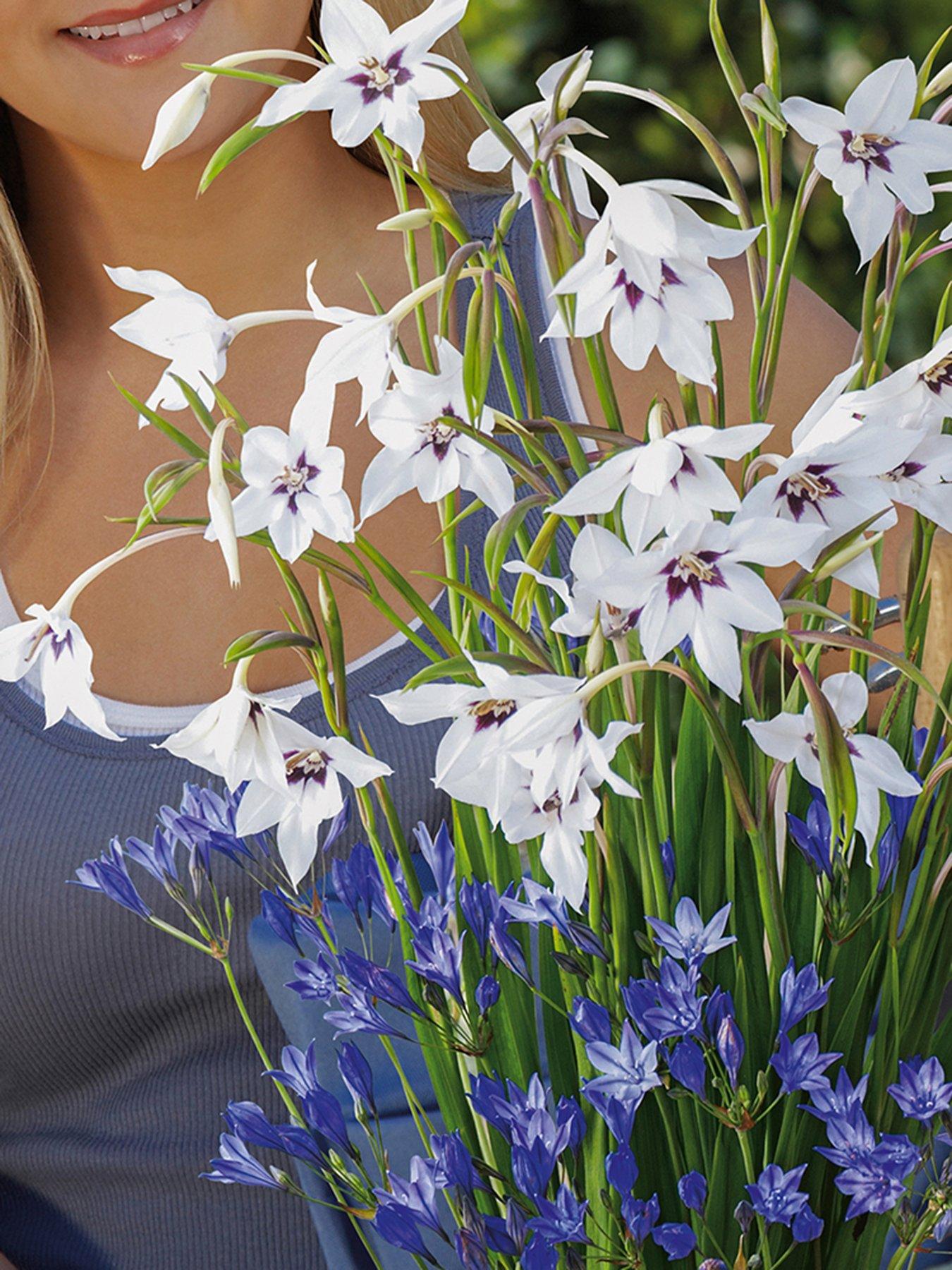 You Garden Plant-O-Mat Bulb Pod - Acidanthera and Brodiaea Mix