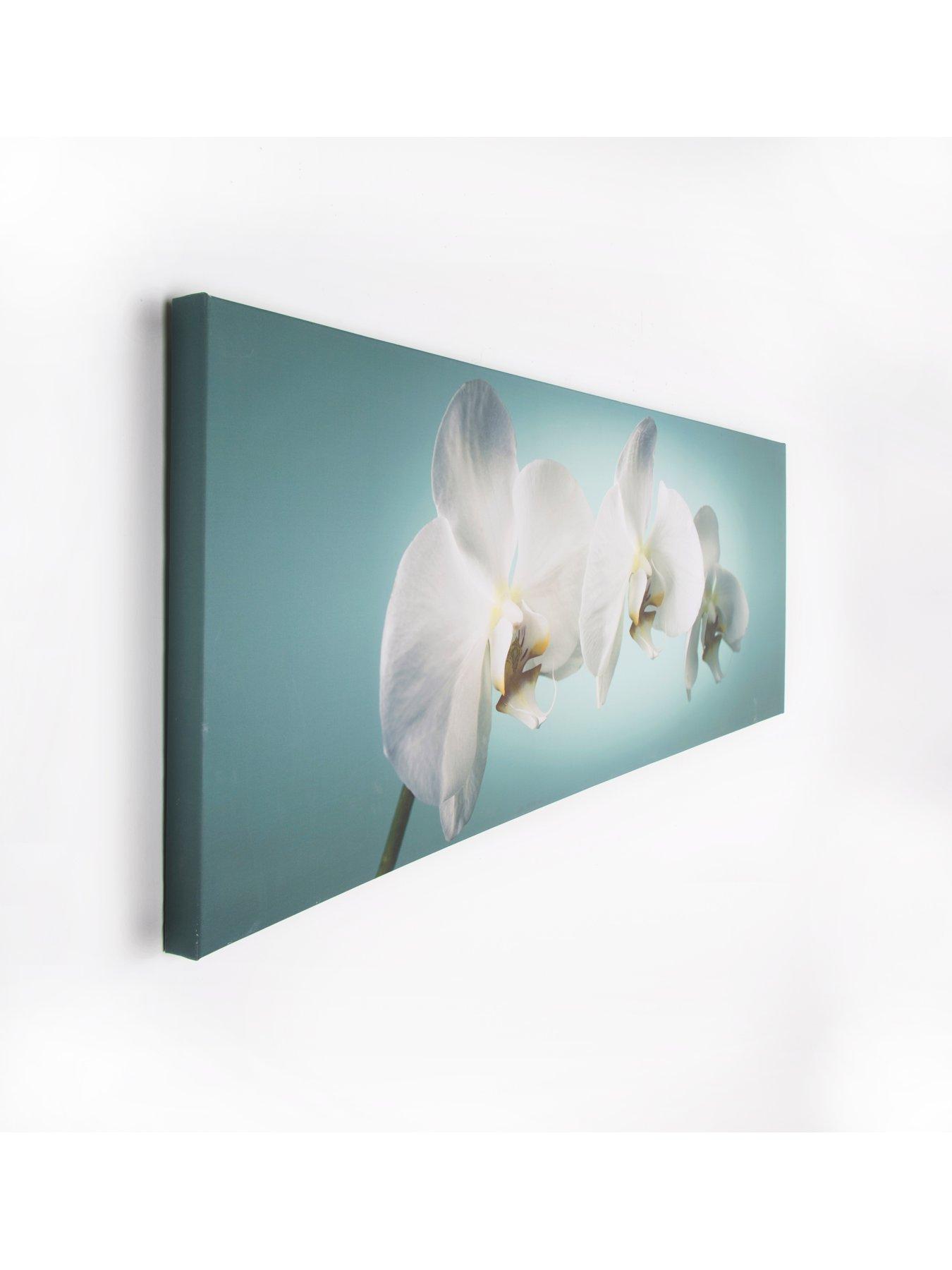  image of art-for-the-home-teal-orchid-canvas