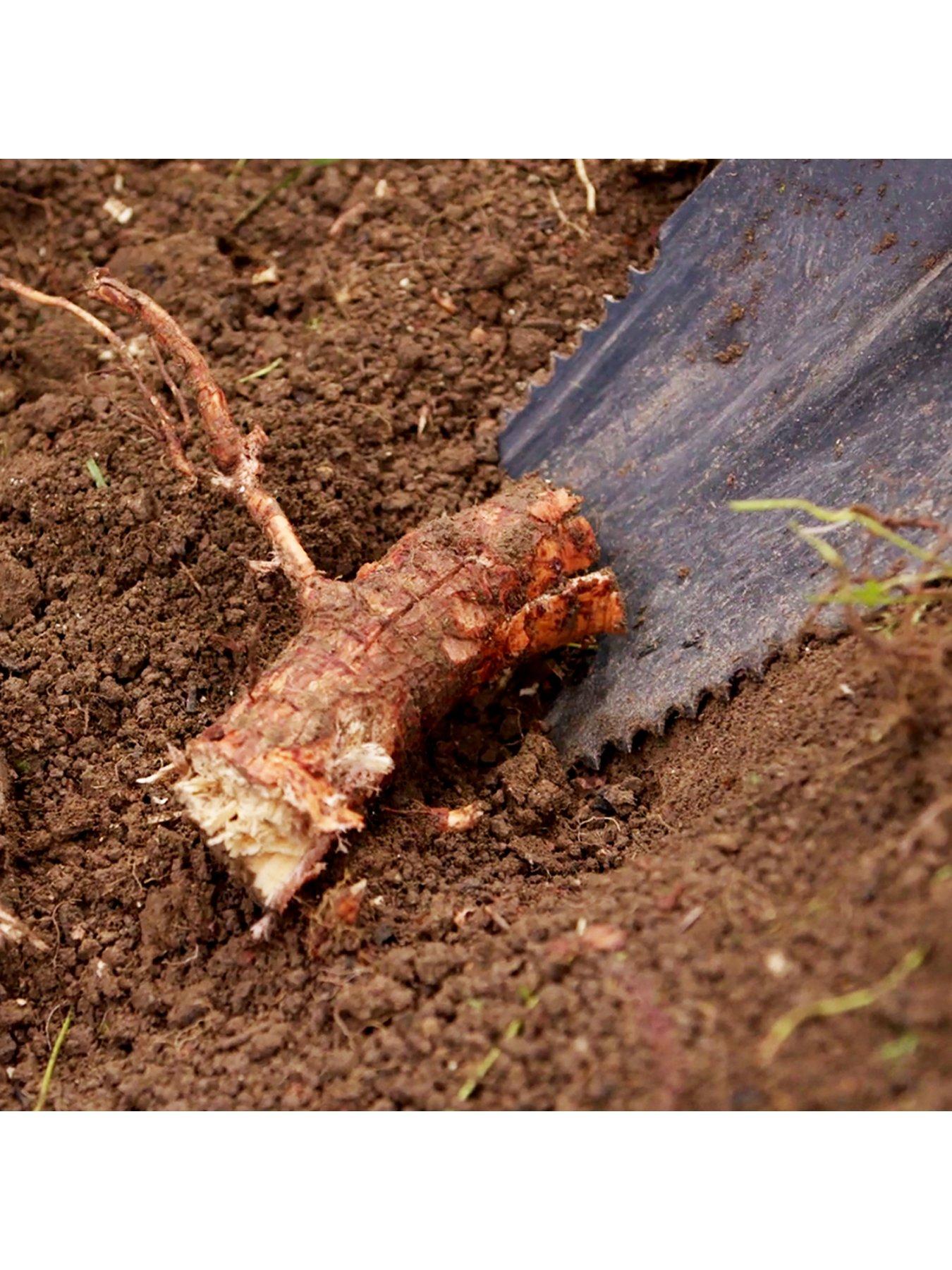  image of jml-rayzer-saw-shovel-root-cutting-spade