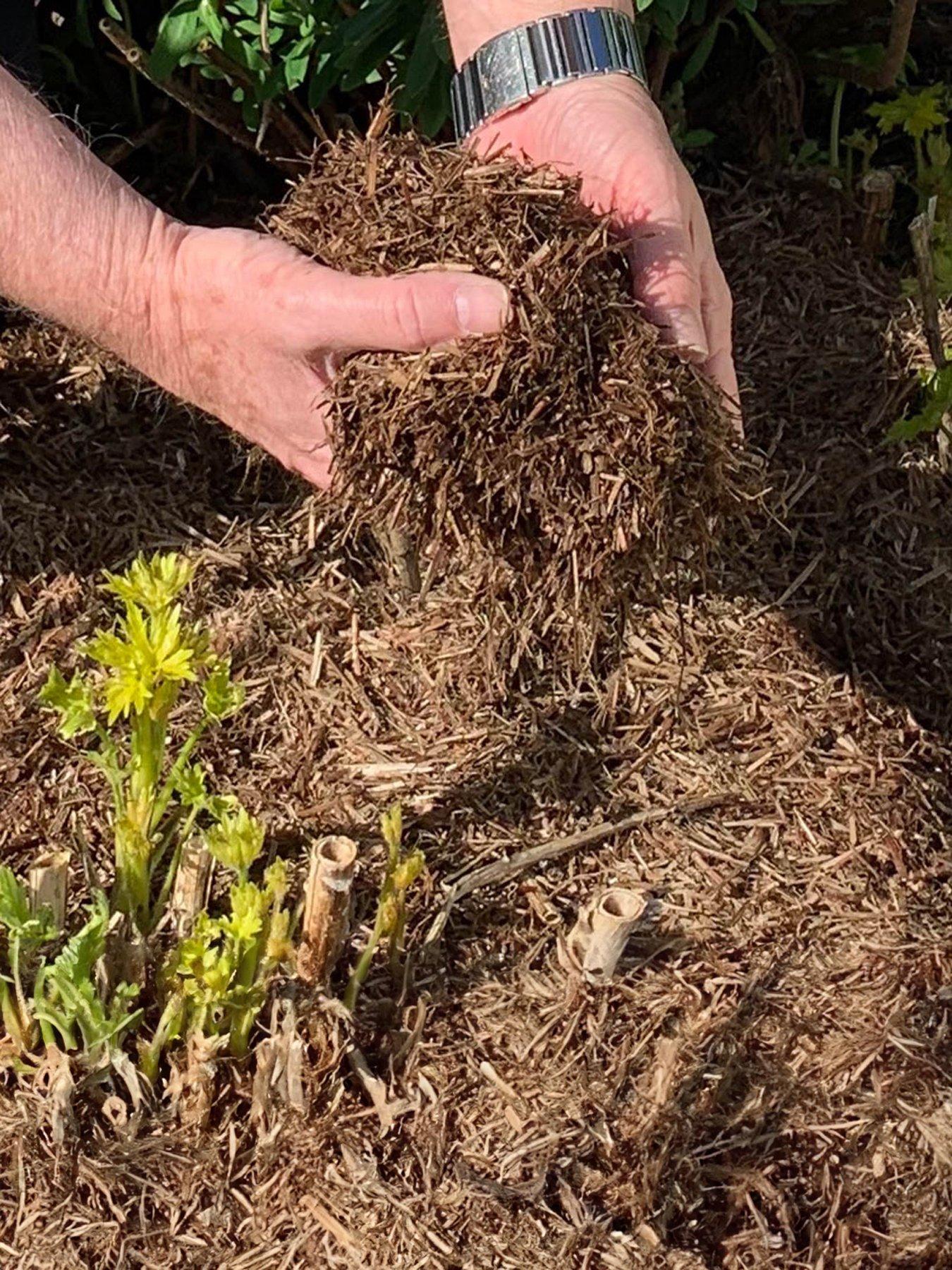 You Garden Strulch Mineralised Straw Garden Mulch (2 x 9kg bags)