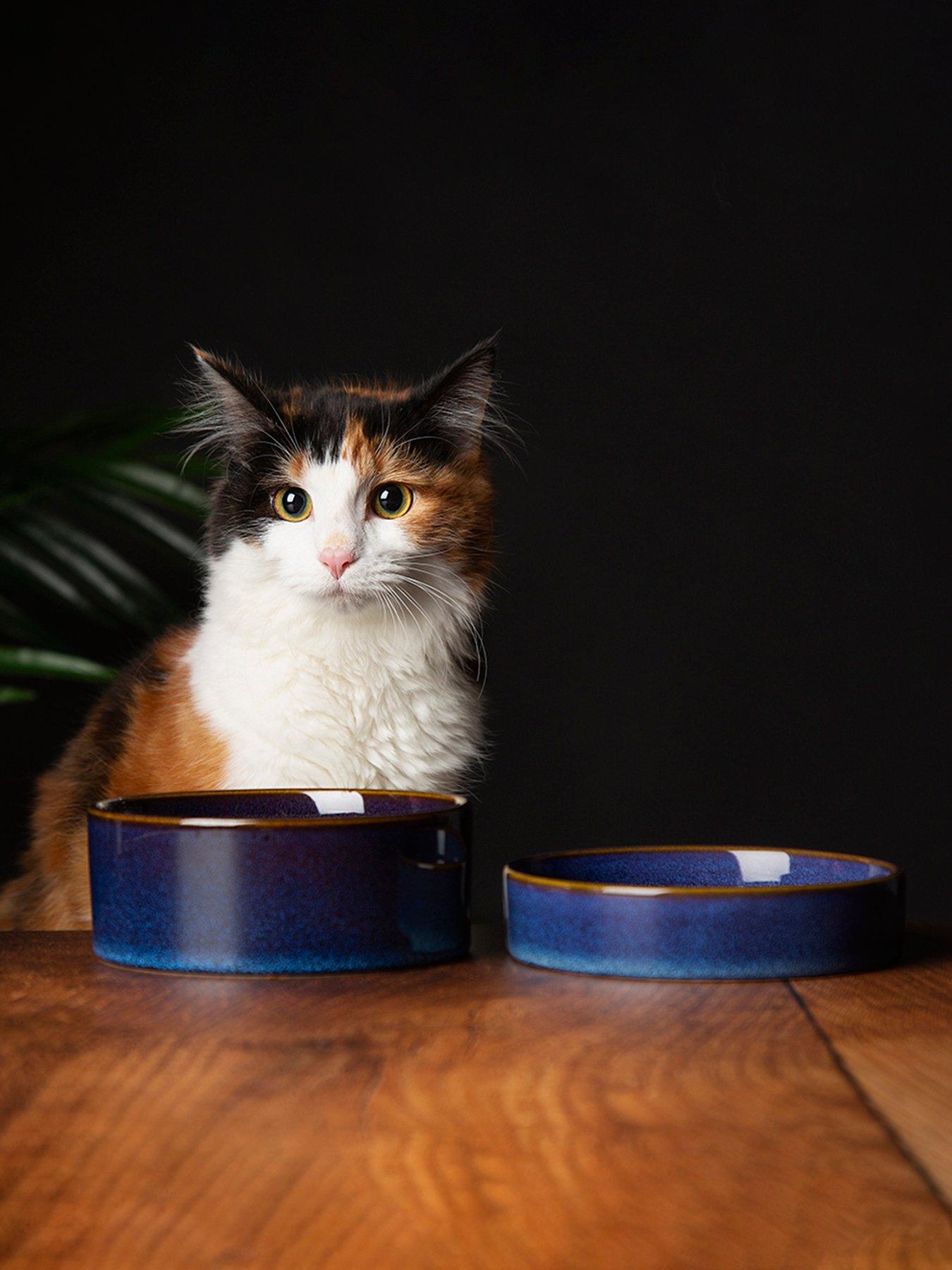 undefined Reactive Cat Food  &  Drink Bowl 2-Piece Set - Midnight Blue
