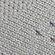 MGH_SOLID_GREY/SILVER_MET/FTWR