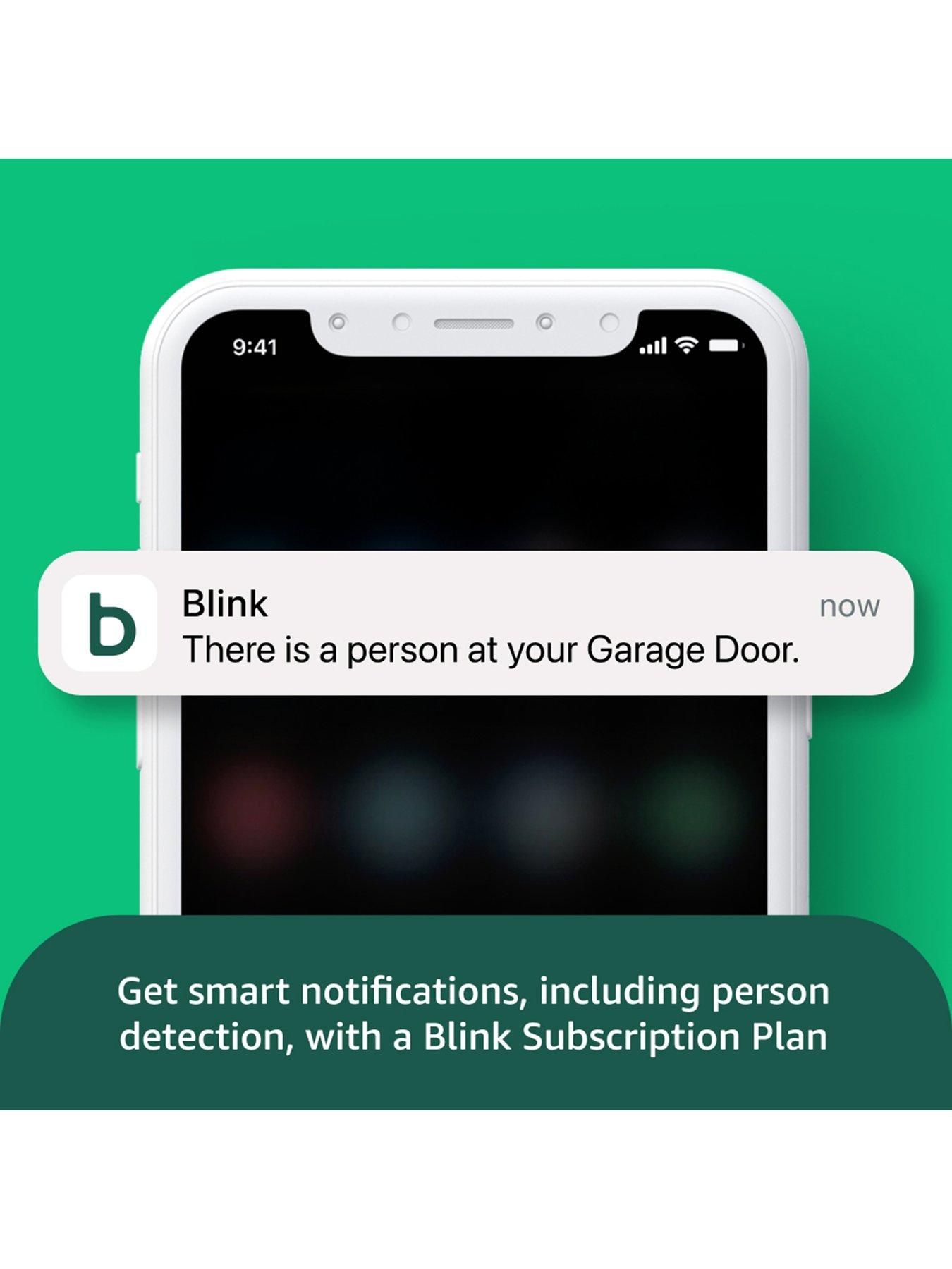 Image 4 of 6 of Blink Mini 2 + Weather Resistant Adaptor