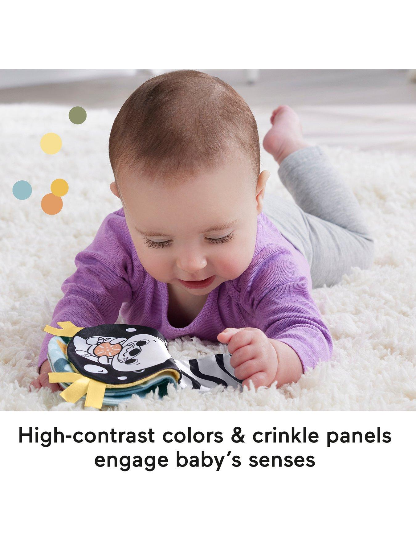  image of fisher-price-2-in-1-rockin-tummy-time-otter