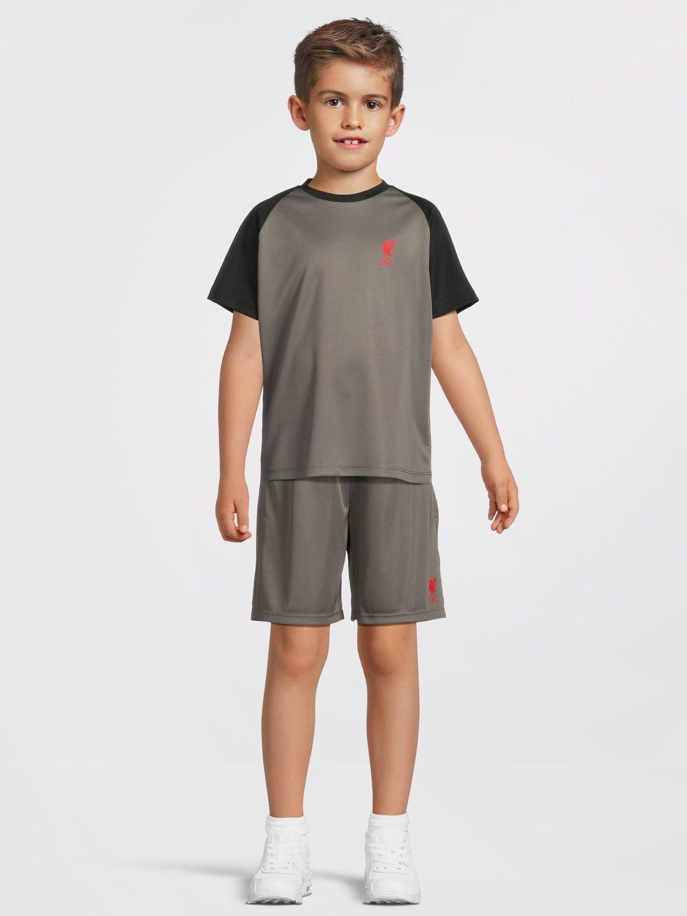 liverpool-fc-raglan-liverbird-t-shirt-grey