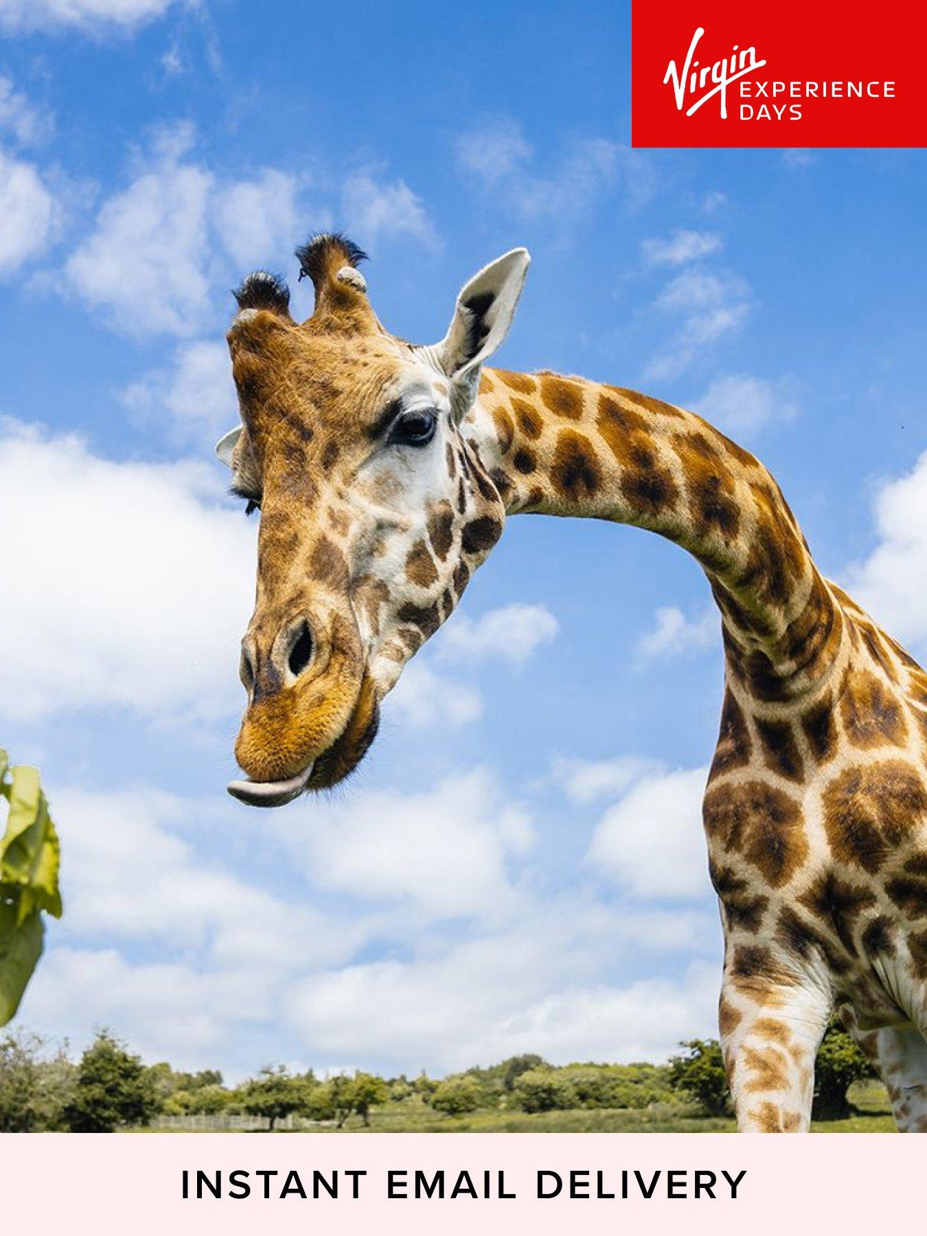 virgin-experience-days-digital-voucher--nbspport-lympne-safari-one-night-glamping-stay-for-up-to-4