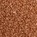 COPPER WINK