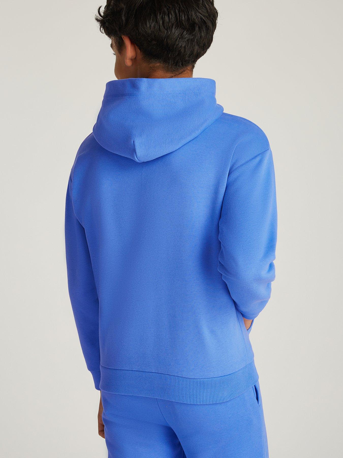  image of tommy-hilfiger-kids-mini-corp-logo-hoodie-blue