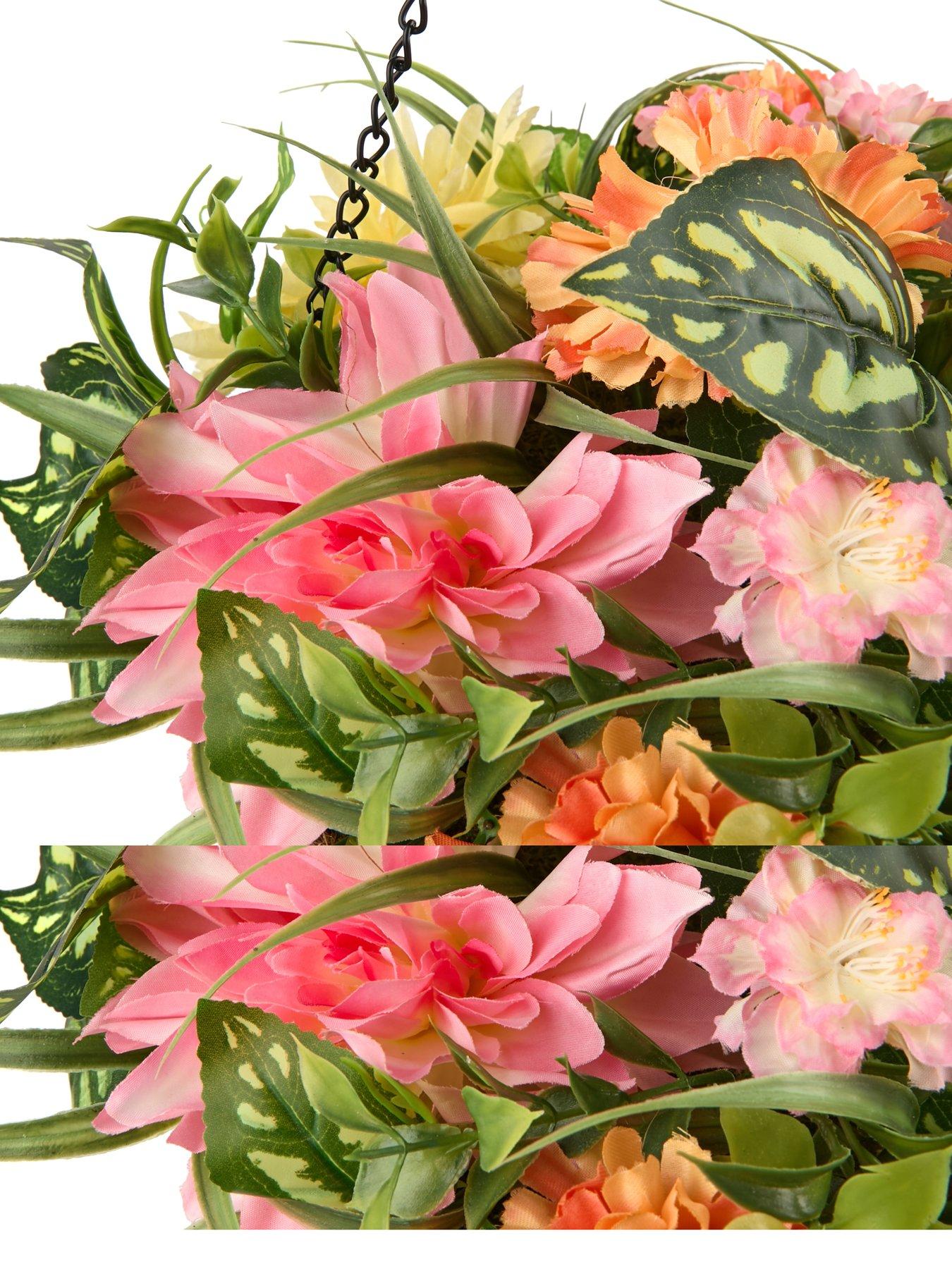 Image 4 of 5 of The Very Collection Tropical Hanging Basket