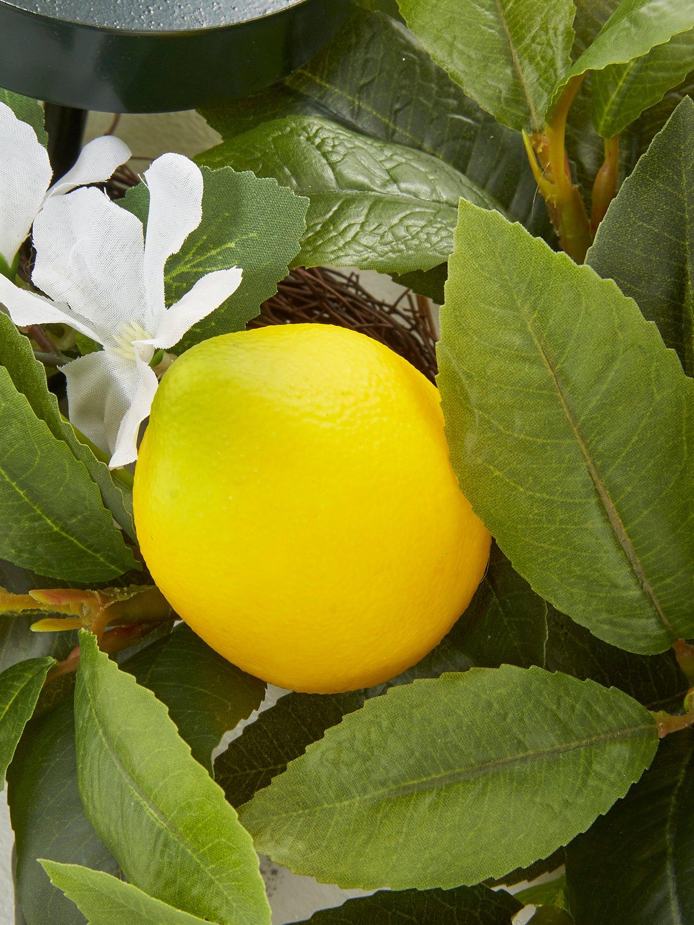 Image 6 of 7 of Very Home Lemon Table Centre