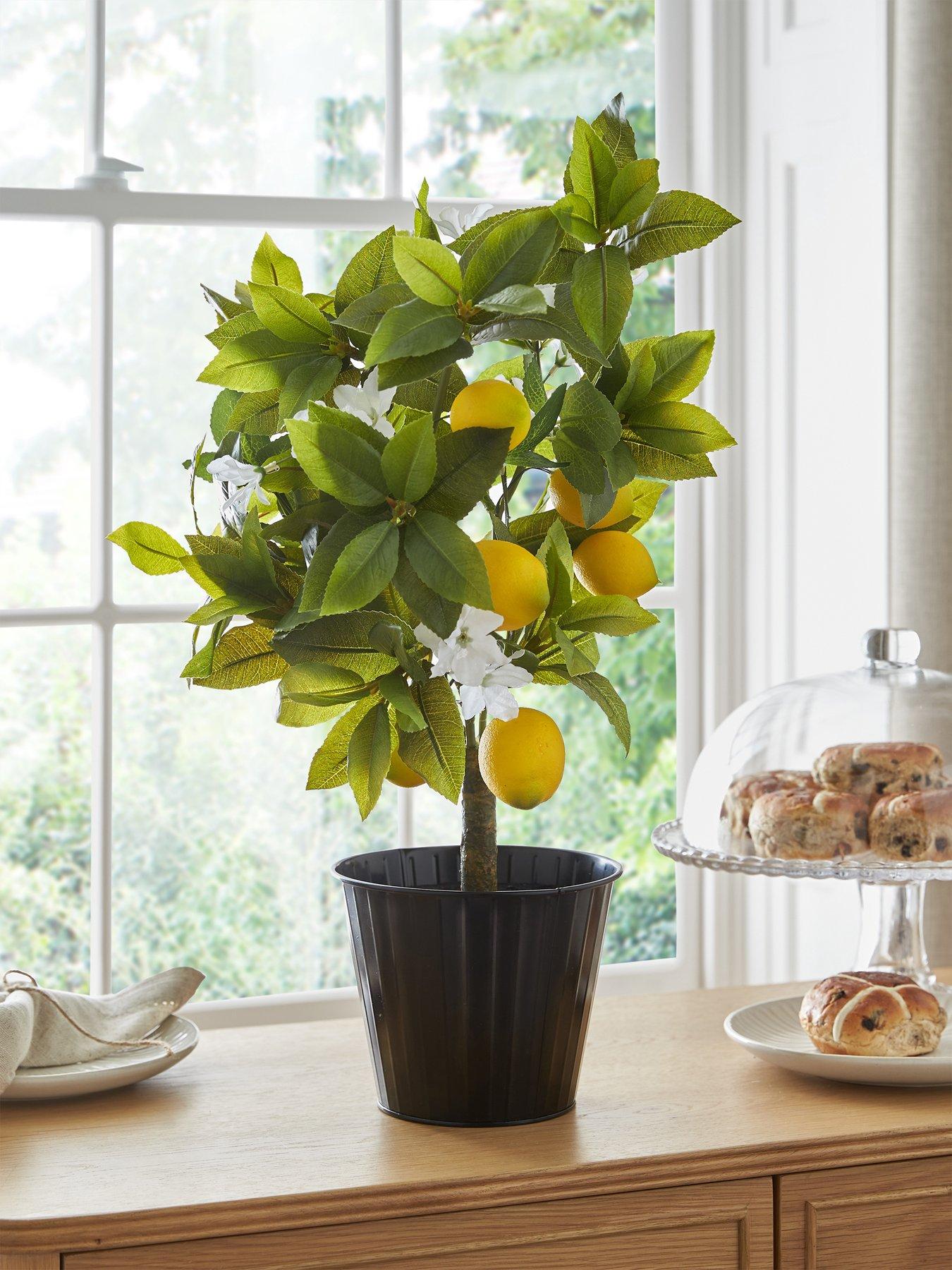 Very Home Lemon Table Top Tree