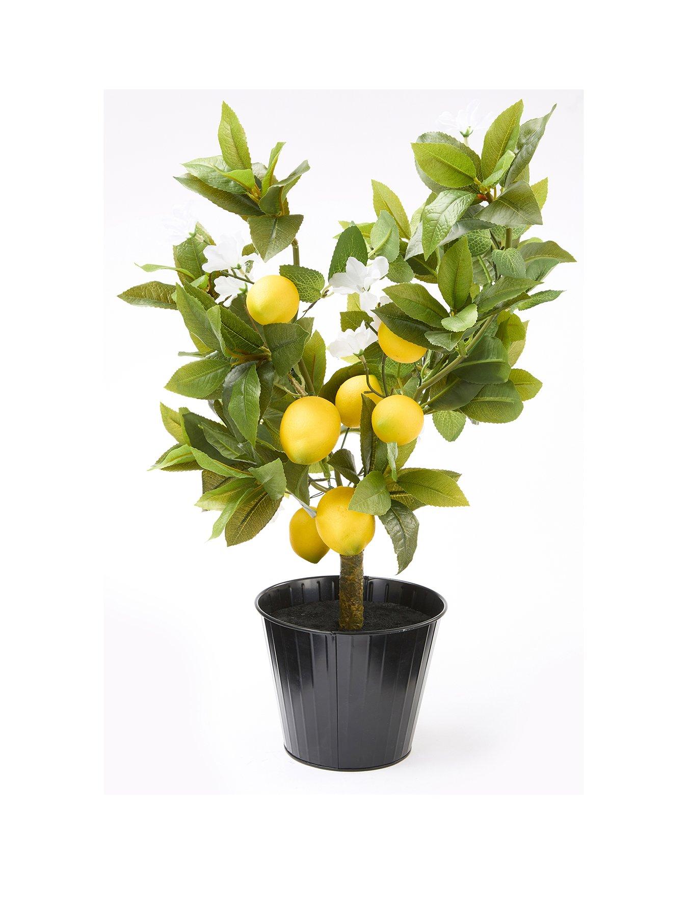 Image 2 of 6 of Very Home Lemon Table Top Tree
