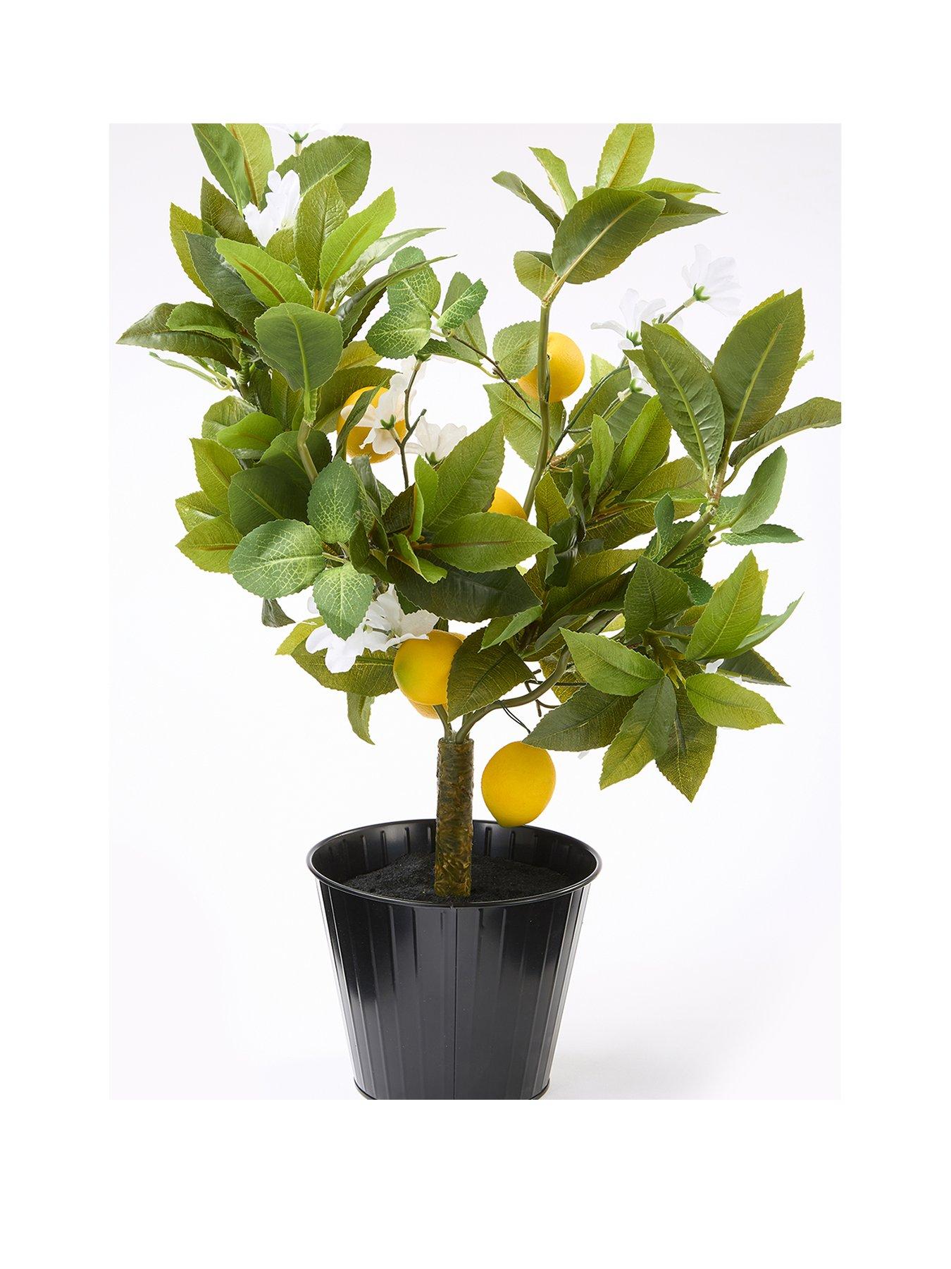  image of the-very-collection-lemon-table-top-tree