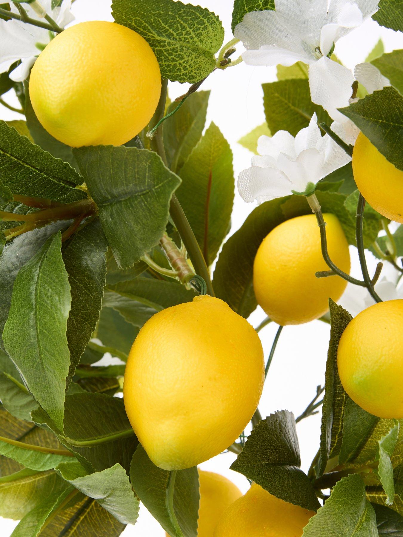 Image 4 of 6 of Very Home Lemon Table Top Tree