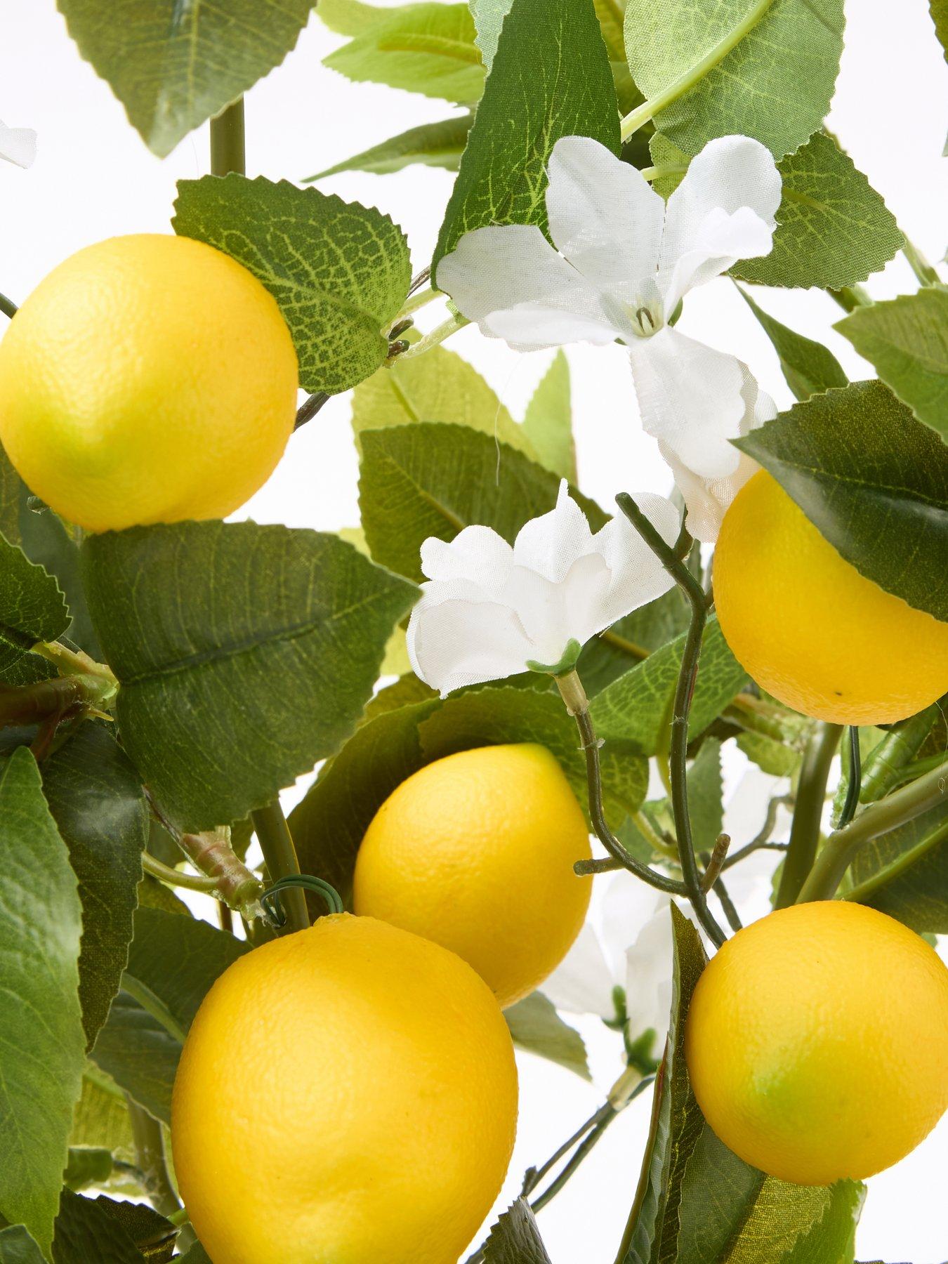 image of the-very-collection-lemon-table-top-tree