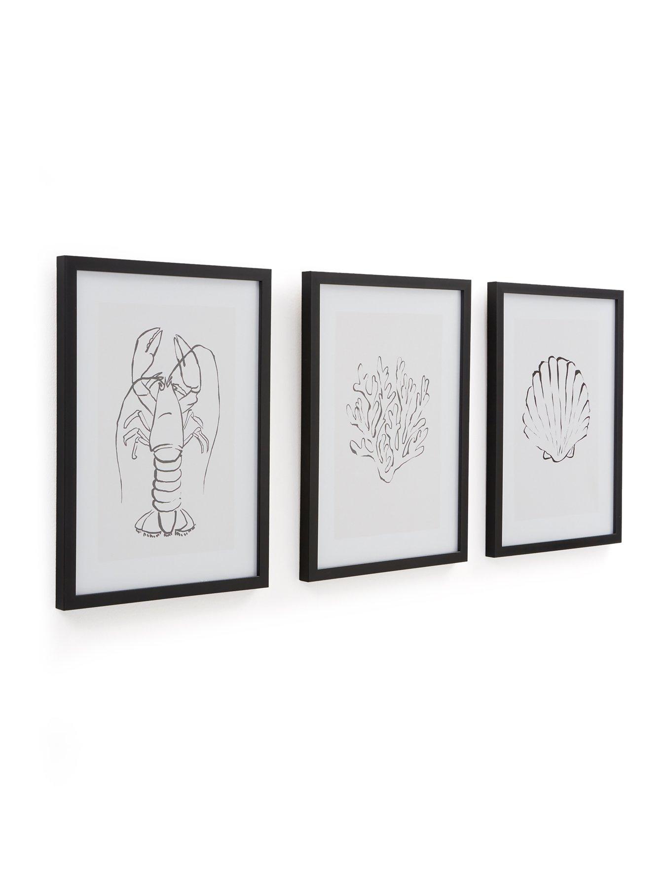 The Very Collection Set of 3 Framed Sea Shell Art Prints | Littlewoods
