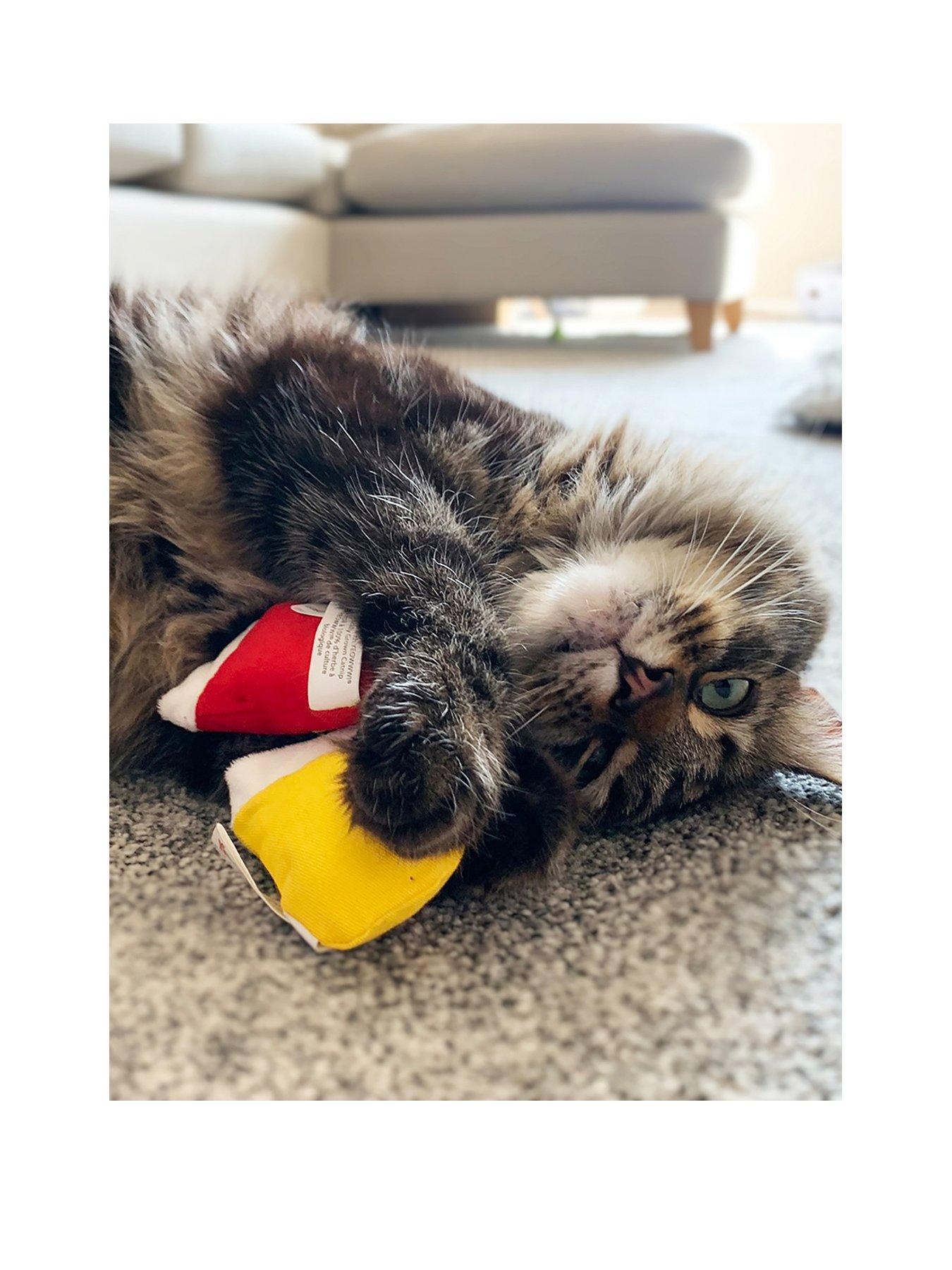 stillFront image of yeowww-yeowww-3-kitten-mittens