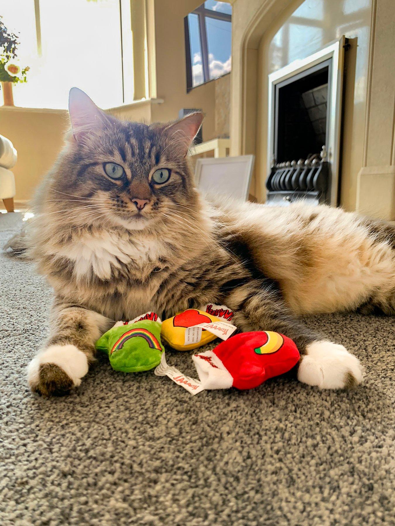  image of yeowww-yeowww-3-kitten-mittens