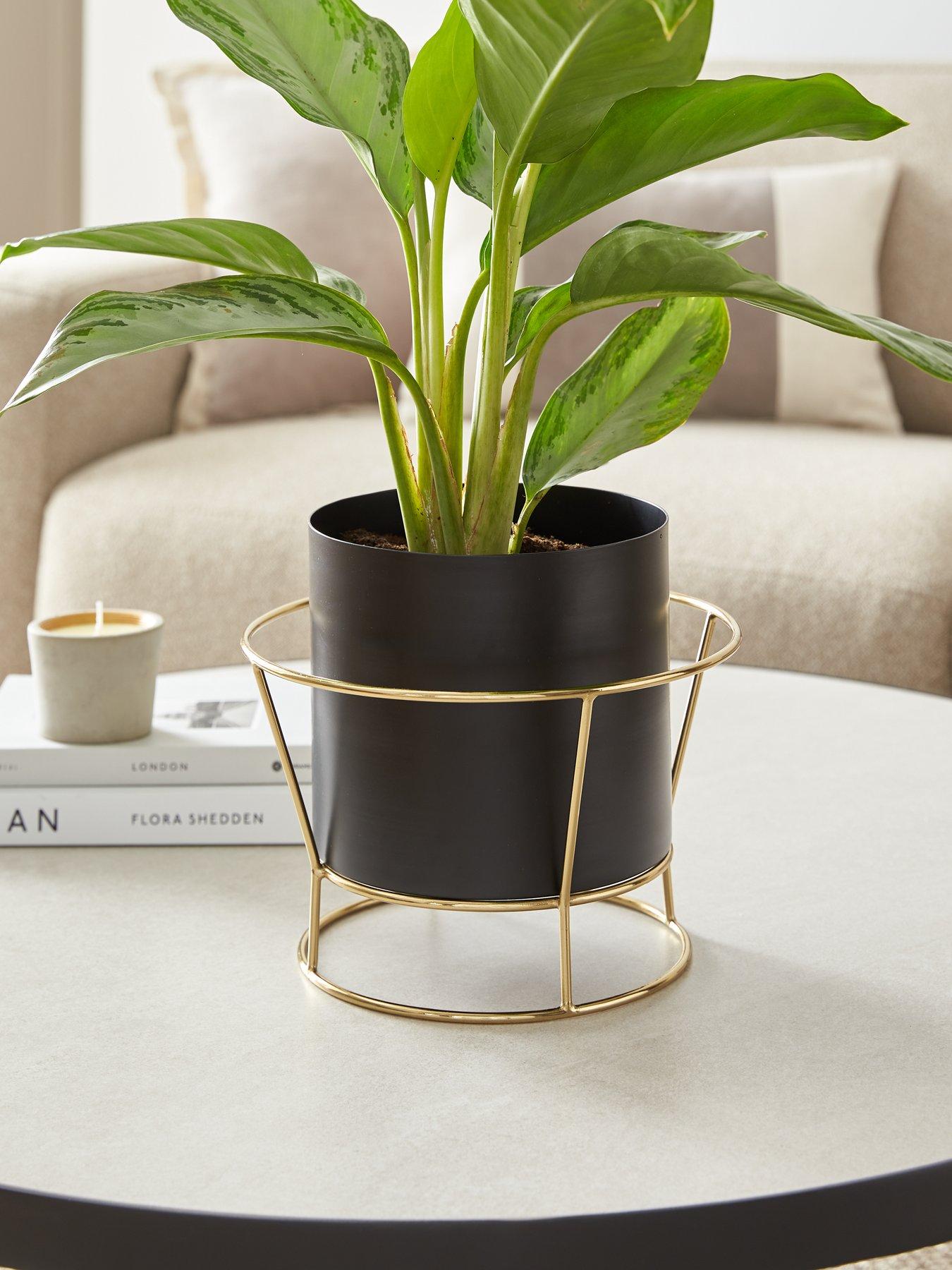 Michelle Keegan Home Gigi Planter