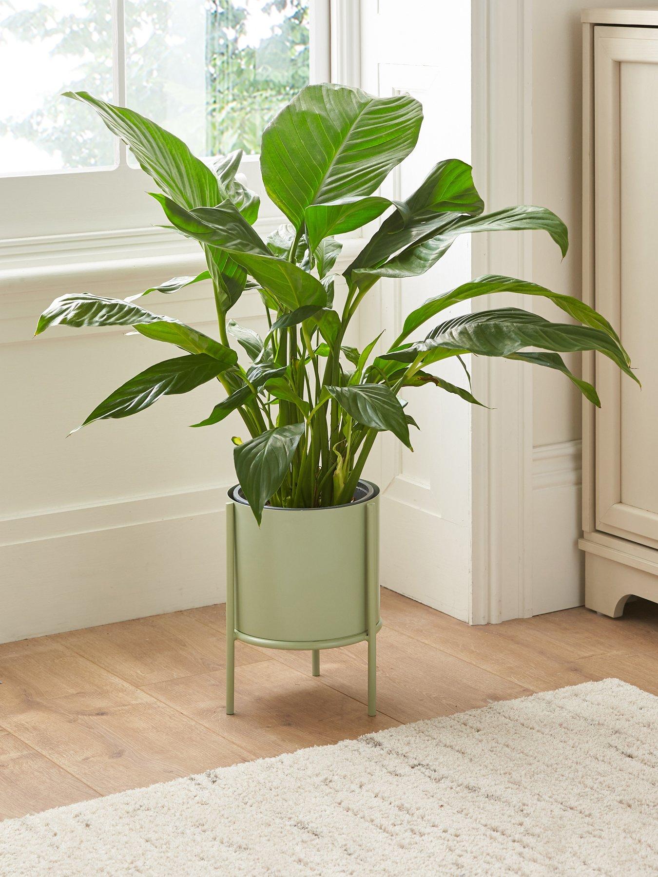 undefined Metal Planter and Stand - Green