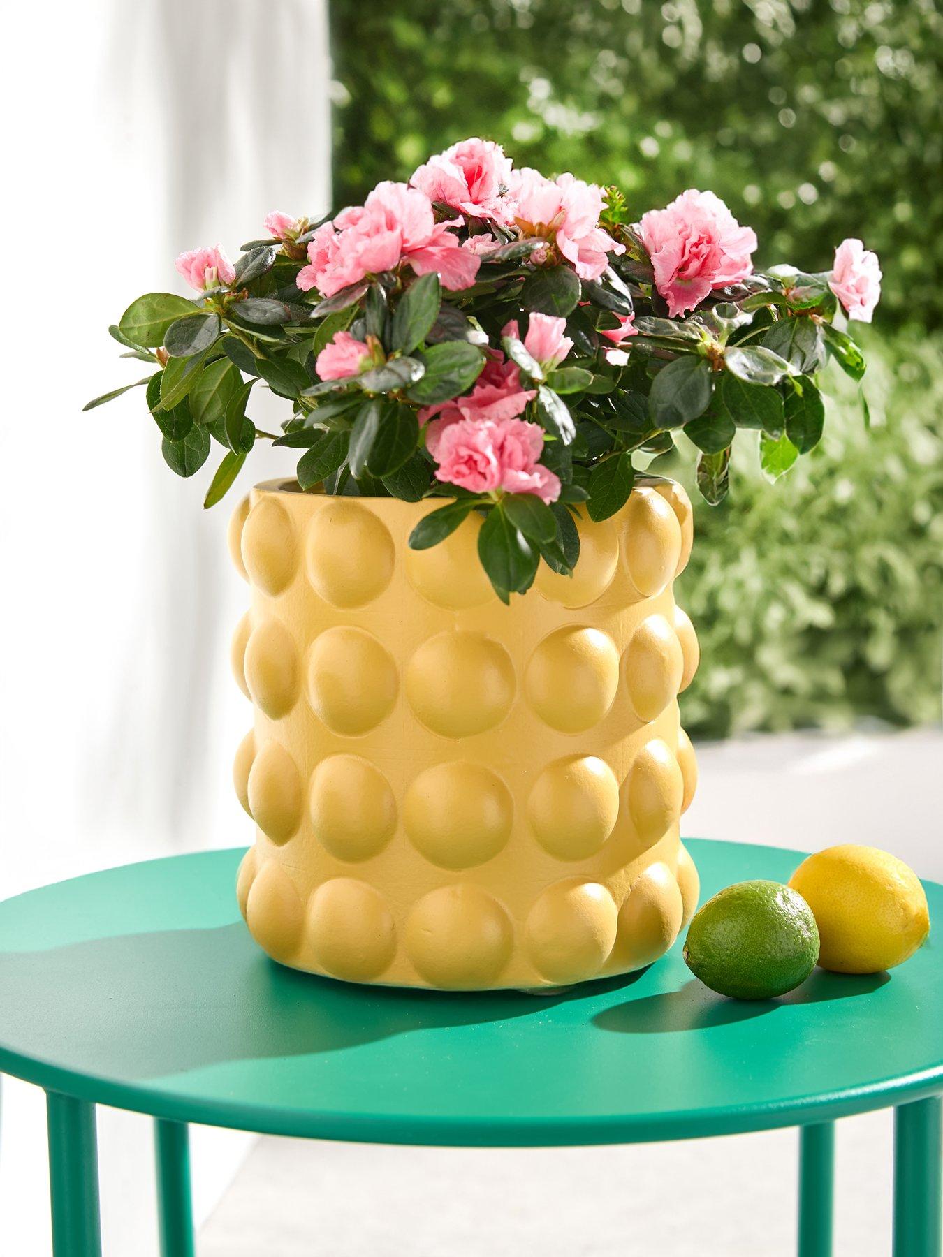 Very Home Bobble Planter