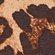 ANIMAL_PRINT