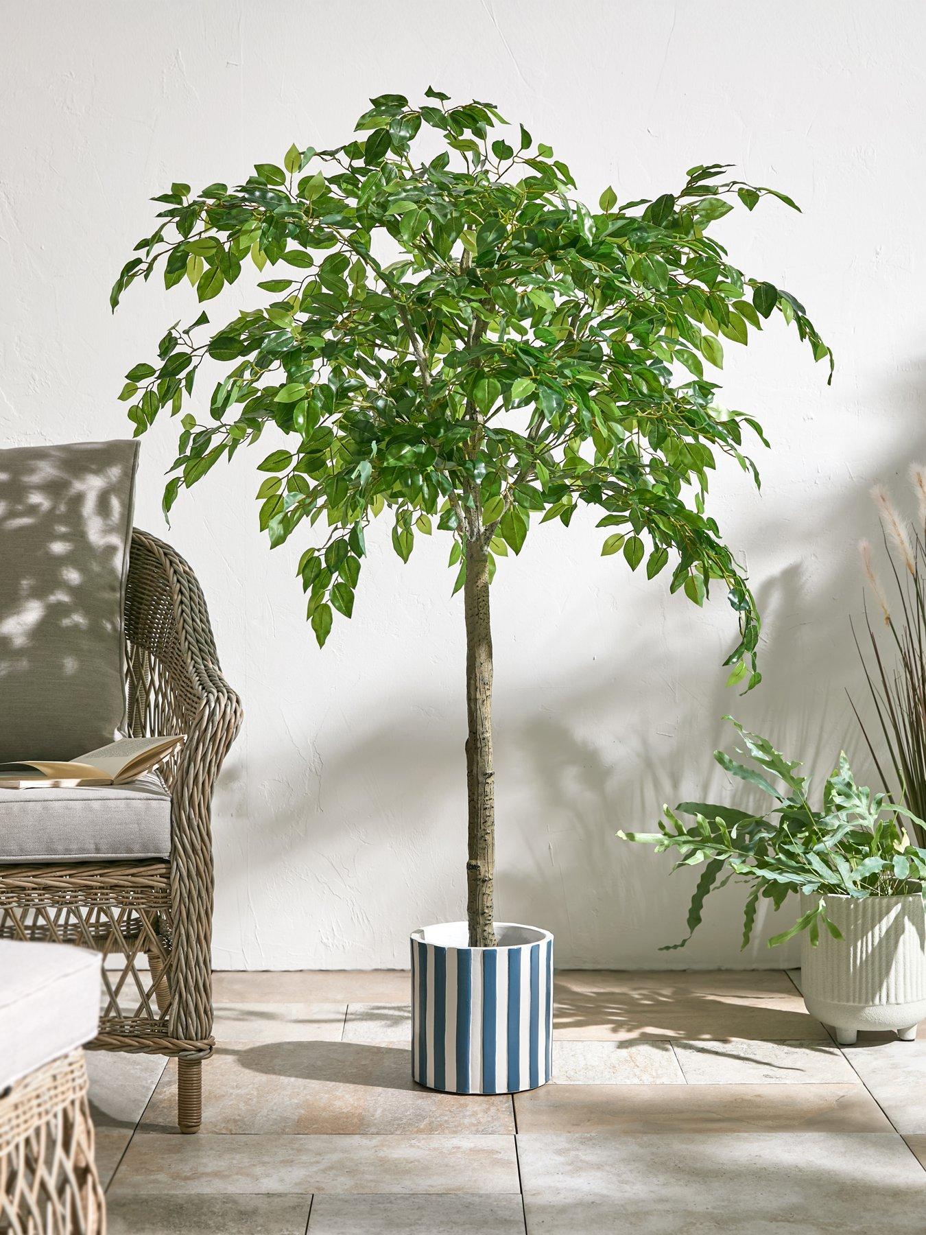 The Very Collection 140cm Faux Ficus Microcarpa Potted Tree Outdoor/Indoor