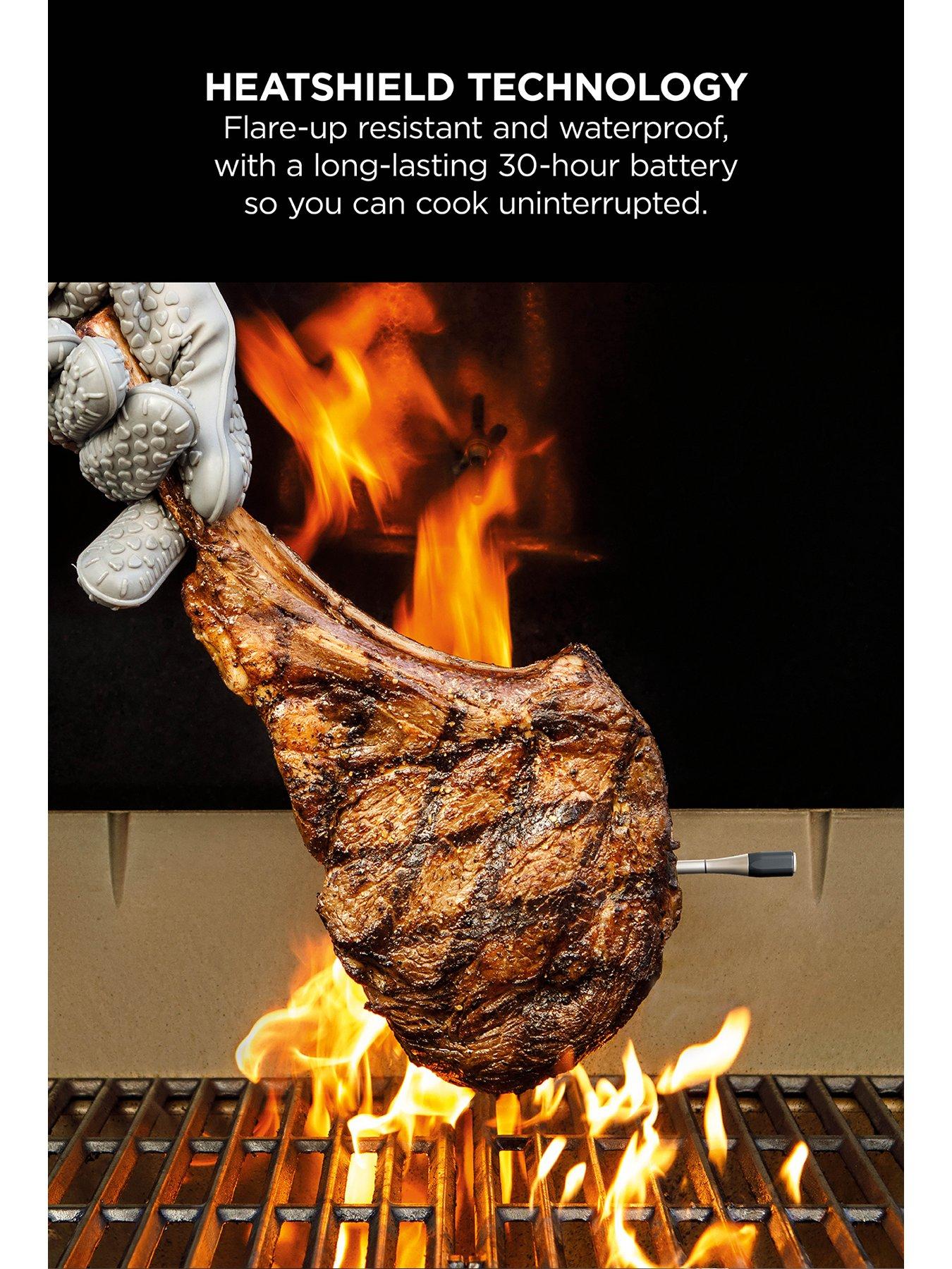  image of ninja-prochef-wireless-meat-thermometer-wp100eu