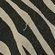 BLACK_ZEBRA