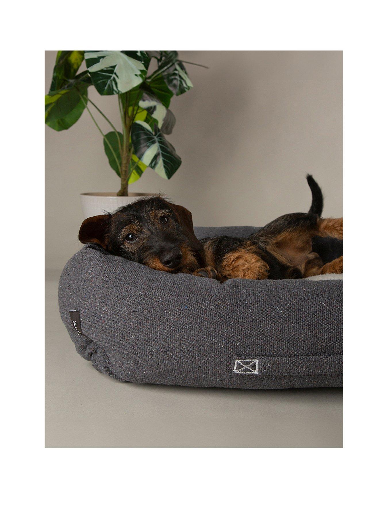  image of scruffs-eden-box-bed-charcoal