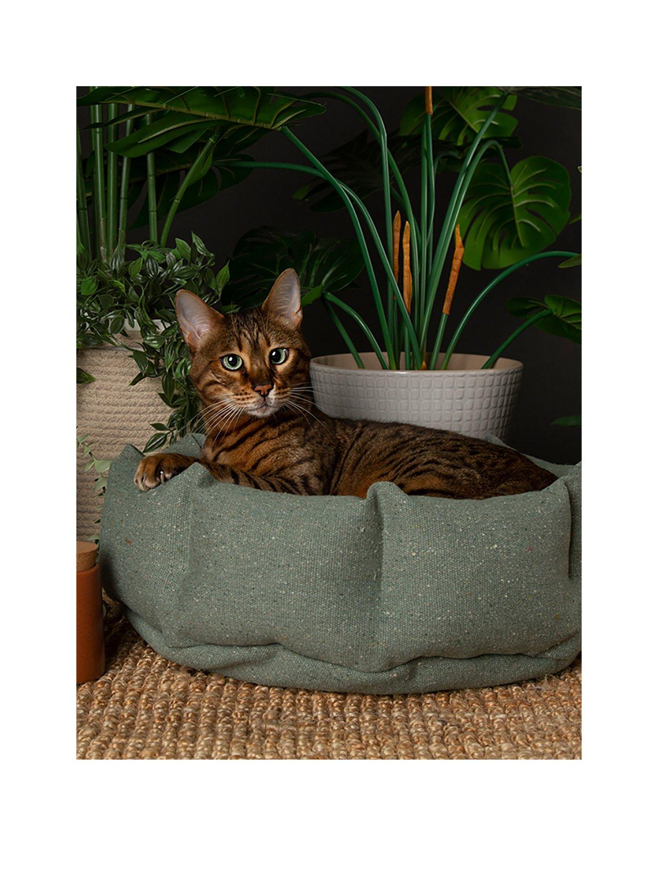  image of scruffs-eden-catsmall-dog-bed-green
