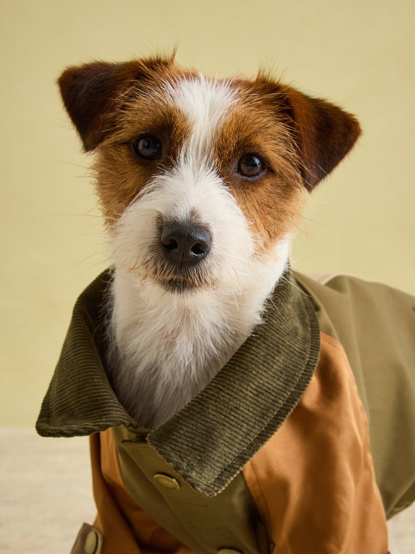 image of joules-kennington-coat-l