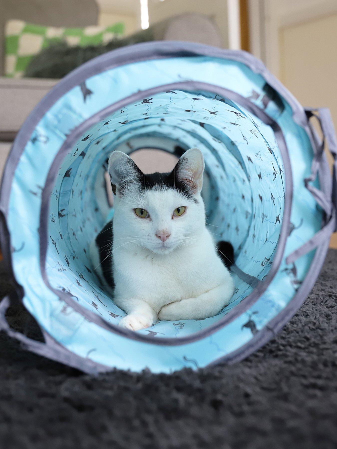 Rosewood X Battersea Pop Up Tent  &  Tunnel